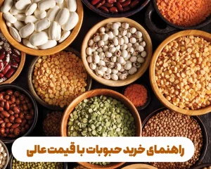 به دنبال خرید حبوبات پاک و تازه هستید؟ با پادمهر، حبوبات را مستقیماً از کشاورز و با تضمین قیمت عالی تهیه کنید. راهنمای کامل انواع و روش‌های پخت صحیح.