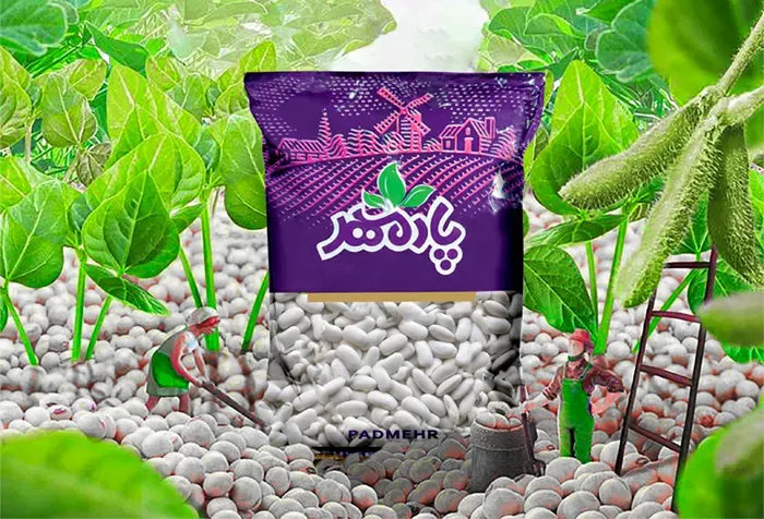 لوبیا سفید پادمهر سرشار از فیبر، آهن و پروتئین است. آشنا شوید با تمام خواص لوبیا سفید برای سلامت، لاغری و انرژی بیشتر بدن.