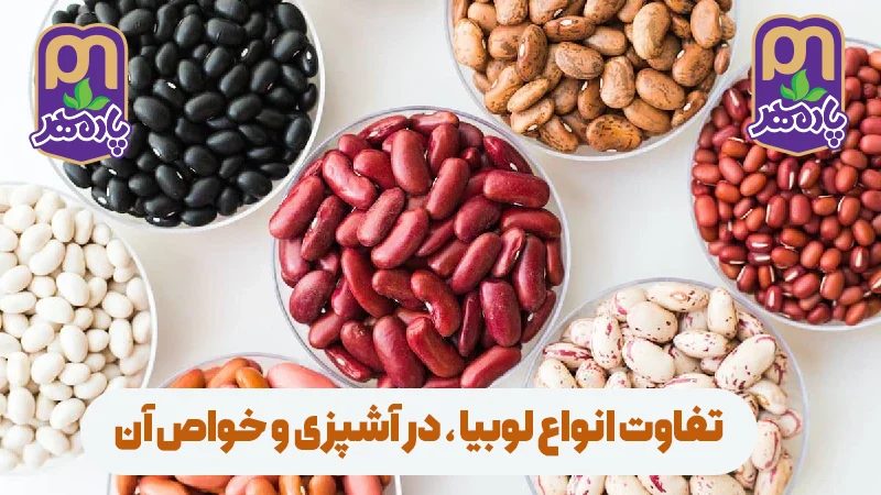 با انواع لوبیاها و خواص منحصربه‌فرد آن‌ها آشنا شوید. تفاوت پروتئین و فیبر در لوبیاهای مختلف و نکات طلایی برای آشپزی سریع‌تر و سالم‌تر.